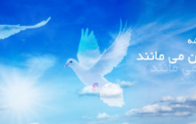 اهدای عضو اهدای زندگیست