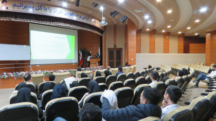 مورنینگ ریپورت مشترک گروه زنان و داخلی برگزار شد