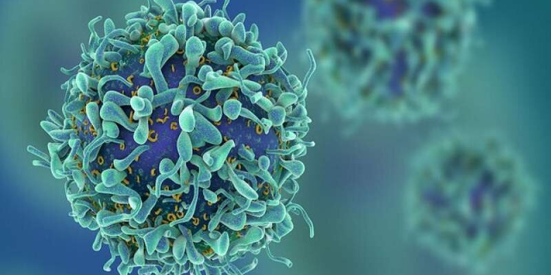 برگزاری کنفرانس علمی "غربالگری سرطان های پستان و دهانه رحم " به دبیری خانم دکتر مریم سهرابی متخصص زنان وزایمان و استادیار دانشگاه علوم پزشکی شاهرود مورخ ۱۴۰۴/۱۱/۲۶