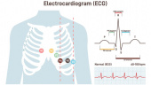 کنفرانس علمی یک روزه مقدمات وتفسیر پیشرفته ECGبه دبیری علمی جناب آقای دکتر حسین ابراهیمی استاد دانشگاه علوم پزشکی شاهرودمورخ ۱۴۰۳/۱۰/۲۳