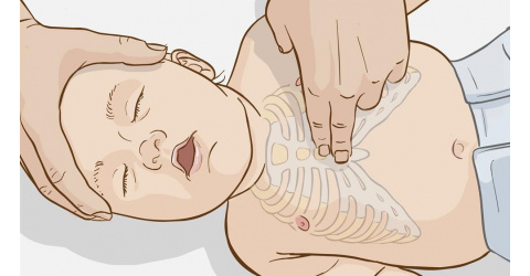 کارگاه  پایه وپیشرفته احیاءنوزادبه دبیری علمی جناب آقای دکتر محمدحسین کلانتر فوق تخصص نوزادان و استادیار دانشگاه علوم پزشکی شاهرودمورخ ۱۴۰۴/۱۱/۱۲ دربیمارستان بهار برگزارشد.