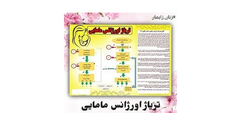برگزاری کنفرانس علمی حضوری باعنوان" تریاژدر اورژانس های مامایی  " به دبیری سرکارخانم دکتر سکینه کلاهدوزان  استادیار دانشگاه مورخ 1405/04/24