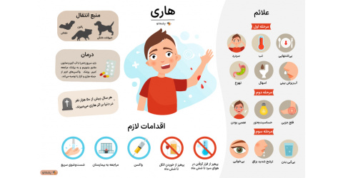اطلاع رسانی به پزشکان در موارد مواجهه با حیوان گزیدگی در بیمارستان