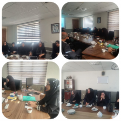 برگزاری کمیته ترویج زایمان طبیعی در راستای قانون حمایت از خانواده و جوانی جمعیت