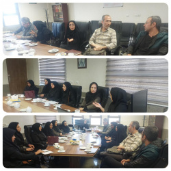 جلسه بررسی پرونده های واحد آندوسکوپی  بیمارستان امام حسین(ع) در سالن جلسات معاونت درمان