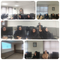 برگزاری وبینار کشوری چارچوب بیمارستان دوستدار ایمنی در سالن جلسات معاونت درمان