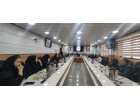 شرکت اعضای هیات علمی دانشگاه علوم پزشکی شاهرود در کنفرانس بین‌المللی AMEE 2026