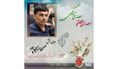 بیمار مرگ مغزی شاهرودی(میامی) به چند نیازمند عضو، زندگی دوباره بخشید.