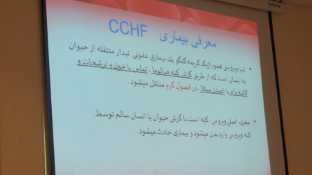 برگزاری دومین دوره آموزشی تب کریمه کنگو (CCHF) برای پرستاران بیمارستان