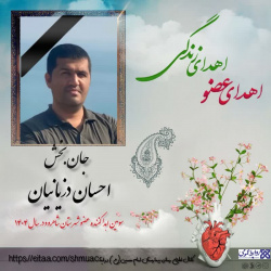 بیمار مرگ مغزی شاهرودی به چند نیازمند عضو، زندگی دوباره بخشید.