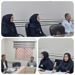 کمیته ارتقا راهبردی اورژانس برگزار شد.