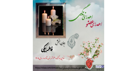 بیمار مرگ مغزی شاهرودی به چند نیازمند عضو، زندگی دوباره بخشید