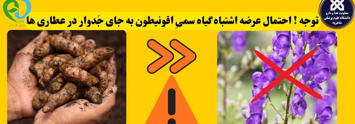 اطلاعیه !! احتمال عرضه اشتباه گیاه سمیِ اقونیطون به جای جَدوار در عطاری ها !!