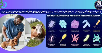 با مصرف مسئولانه آنتی بیوتیک در دام ها با نظارت دامپزشک، از تکثیر و انتقال میکروبهای خطرناک مقاوم به درمان پیشگیری کنیم.