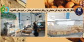 افتتاح کارخانه تولید نان صنعتی با رویکرد پدافند غیرعامل در شهرستان شاهرود