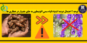اطلاعیه !! احتمال عرضه اشتباه گیاه سمیِ اقونیطون به جای جَدوار در عطاری ها !!