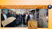 اجرای آموزش عملی تهیه نان کامل از آرد کامل توسط نانوای منتخب استان مازندران با حضور مسئولین دانشگاه علوم پزشکی در یکی از نانوایی های شهرستان شاهرود
