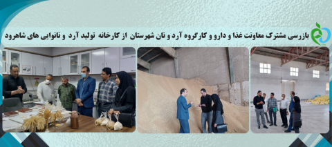 بازرسی مشترک معاونت غذا و دارو و کارگروه آرد و نان شهرستان از کارخانه تولید آرد و نانوایی های شاهرود