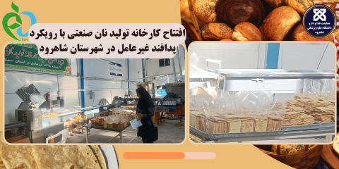 افتتاح کارخانه تولید نان صنعتی با رویکرد پدافند غیرعامل در شهرستان شاهرود