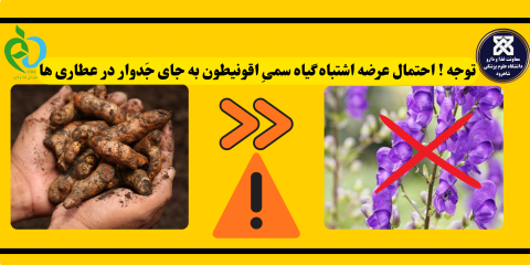 اطلاعیه !! احتمال عرضه اشتباه گیاه سمیِ اقونیطون به جای جَدوار در عطاری ها !!