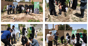 بزرگداشت هفته جمعیت مراسم کاشت نهال به نام کودکان