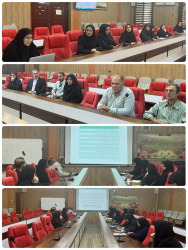 پنجمین جلسه برنامه راهبری نظام سلامت  با حضور آقای دکتر رودباری در سالن شماره یک معاونت برگزار شد .