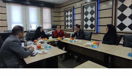 برنامه پزشک خانواده روستایی و نظام ارجاع