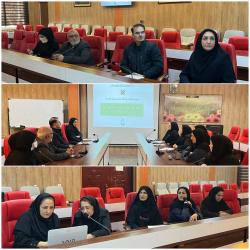 اولین جلسه کمیته اجرایی برنامه ترویج شیوه زندگی سالم بر اساس آموزه های طب ایرانی با حضور معاون بهداشت دکتر رودباری در معاونت بهداشت برگزار گردید.