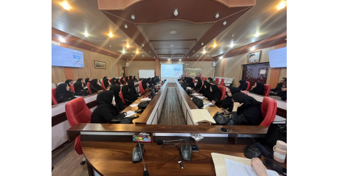 برگزاری کارگاه آموزشی خودمراقبتی اجتماعی با رویکرد محله محور