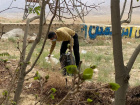 پاکسازی پارک جنگلی آبمرجان&quot;  انجام شد.