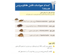 پیشگیری از هانتا ویروس ویژه کشاورزان،دامداران و انبارداران