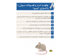 پیشگیری از هانتا ویروس ویژه کشاورزان،دامداران و انبارداران