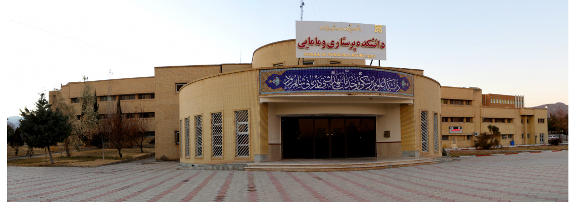 School of Nursing and Midwifery
