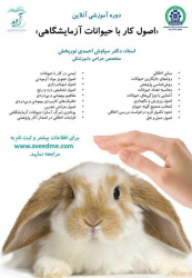 برگزاری دوره اموزش آنلاین کار با حیوانات آزمایشگاهی