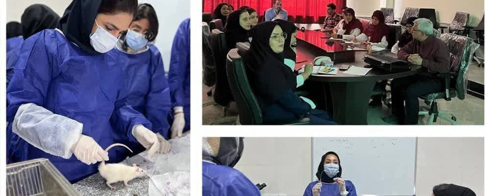 برگزاری کارگاه آموزشی کار با حیوانات آزمایشگاهی در دانشگاه
