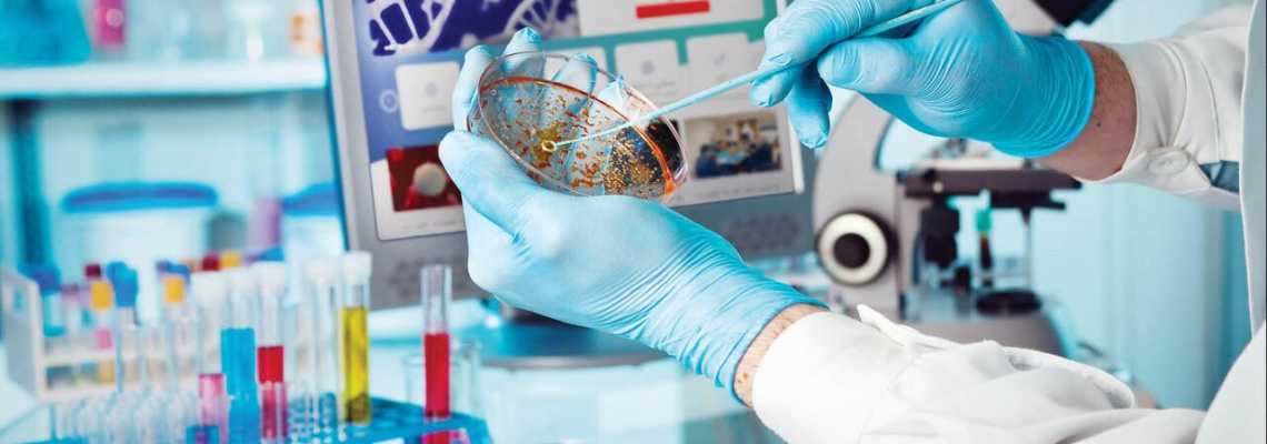 توسعه تجهیزات آزمایشگاه جامع جهت ارتقای تحقیقات و بانک سلولی