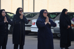 همایش پیاده‌روی دانشگاهیان علوم پزشکی شاهرود