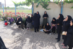 همایش پیاده‌روی دانشگاهیان علوم پزشکی شاهرود