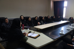نشست مدیر دانشجویی با سرپرستان خوابگاه های دانشگاه