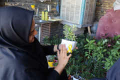 هر گلدان یک امید برای طراوت دل‌های دانشجویان
