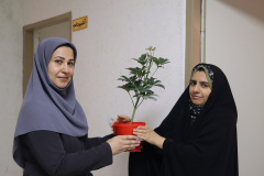 هر گلدان یک امید برای طراوت دل‌های دانشجویان
