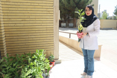 هر گلدان یک امید برای طراوت دل‌های دانشجویان