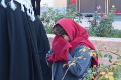 وداع دانشگاهیان علوم پزشکی شاهرود با لاله گمنام دفاع مقدس