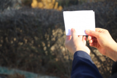 برگزاری همایش پیاده روی به مناسبت دهه مبارک فجر  بهمن ماه ۱۴۰۴به همت تربیت بدنی و باهمکاری امور فرهنگی دانشگاه