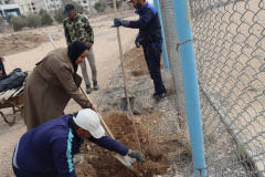 مراسم درختکاری به همت دانشگاهیان علوم پزشکی شاهرود
