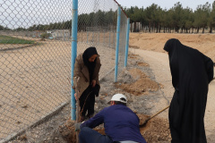 مراسم درختکاری به همت دانشگاهیان علوم پزشکی شاهرود