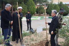 کاشت نهال به یادرهبرشهیدوشهدای جنگ رمضان