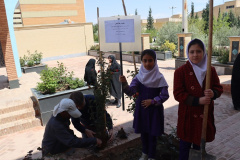 کاشت نهال به نیت دختران مدرسه شهید شجره طیبه میناب توسط فرزندان کارکنان دانشگاه علوم پزشکی شاهرود