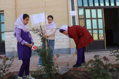 کاشت نهال به نیت دختران مدرسه شهید شجره طیبه میناب توسط فرزندان کارکنان دانشگاه علوم پزشکی شاهرود