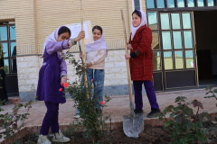 کاشت نهال به نیت دختران مدرسه شهید شجره طیبه میناب توسط فرزندان کارکنان دانشگاه علوم پزشکی شاهرود